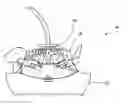 Fig. 01 - Pet washing apparatus and method