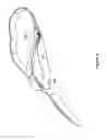 Fig. 07 - Daisy-Chain Pet Leash