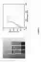 Fig. 06 - Photoactive compositions containing plasmon-resonating nanoparticles