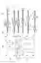 Fig. 02 - FLUID DISTRIBUTION ELEMENT FOR A FLUID-CONDUCTING DEVICE, IN PARTICULAR FOR MULTICHANNEL-LIKE FLUID-CONDUCTING APPLIANCES WHICH ARE NESTED IN EACH OTHER