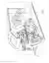 Fig. 02 - Label printer and applicator