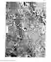 Fig. 02 - WEAR-RESISTANT ALUMINUM ALLOY FOR CASTING ENGINE BLOCKS WITH LINERLESS CYLINDERS