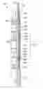 Fig. 01 - Non-Metallic Mandrel and Element System