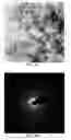 Fig. 05 - Large-Diameter 3D Carbon Nano-Onion Structures