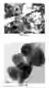Fig. 06 - Large-Diameter 3D Carbon Nano-Onion Structures