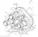 Fig. 01 - Modular rotary drill head