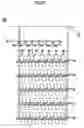 Fig. 06 - Energy-Saving Type Apparatus For Producing Freshwater