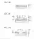 Fig. 03 - Method of manufacturing electroforming mold, electroforming mold, and method of manufacturing electroformed component