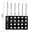 Fig. 09 - Method for manufacturing substrate for biochip