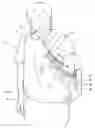 Fig. 01 - BABY CARRIER