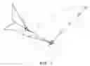 Fig. 02 - Remote-controlled fluttering object capable of flying  forward in upright position