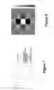 Fig. 06 - Adaptive spatial-spectral processing (ASSP)