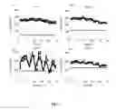Fig. 08 - Phantoms and methods for verification in radiotherapy systems
