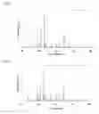 Fig. 02 - Lithium manganate particles for non-aqueous electrolyte secondary battery, process for producing the same, and non-aqueous electrolyte secondary battery