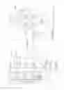 Fig. 28 - Display device