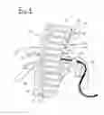 Fig. 02 - Heat-Shrinkable Tube Holder and Method for Inserting Cables Into Heat-Shrinkable Tubes
