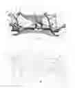 Fig. 01 - Front-axle bracket for motor vehicles