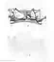 Fig. 02 - Front-axle bracket for motor vehicles
