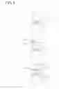 Fig. 07 - Spark plug for internal-combustion engine and method for manufacturing the same