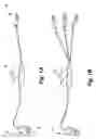 Fig. 02 - Energy efficient decorative lighting