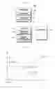 Fig. 02 - METHOD AND APPARATUS FOR DISPLAY SPEED IMPROVEMENT OF IMAGE