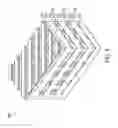 Fig. 05 - FLEXIBLE LIQUID CRYSTAL DISPLAY DEVICE