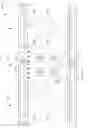Fig. 06 - Pixels having extra-planar fringe field amplifiers for multi-domain vertical alignment liquid crystal displays
