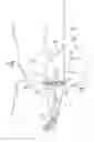 Fig. 01 - Inspection Lamp and Method for Facilitating Rapid Paper Currency Examination and Authentication