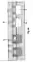 Fig. 22 - Encapsulation module method for production and use thereof