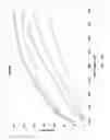 Fig. 17 - Protective Light Filters and Illuminants Having Customized Spectral Profiles