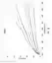 Fig. 23 - Protective Light Filters and Illuminants Having Customized Spectral Profiles