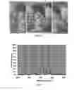 Fig. 07 - Filters, illuminants, and customized spectral profiles for reducing perceptible changes in appearance