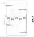 Fig. 06 - Light guide apparatus of backlight module