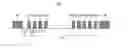 Fig. 01 - Flash Memory Device Using Double Patterning Technology and Method of Manufacturing the Same
