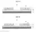 Fig. 06 - Flash Memory Device Using Double Patterning Technology and Method of Manufacturing the Same