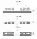 Fig. 07 - Flash Memory Device Using Double Patterning Technology and Method of Manufacturing the Same