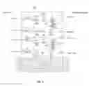 Fig. 06 - Branching configuration including separate branching unit and predetermined wavelength filter unit and system and method including the same