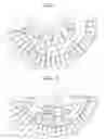 Fig. 02 - Centrifugal force-based microfluidic device for blood chemistry analysis