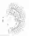 Fig. 04 - Centrifugal force-based microfluidic device for blood chemistry analysis