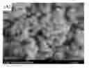 Fig. 01 - TITANIUM DIOXIDE COATING METHOD AND THE ELECTROLYTE USED THEREIN