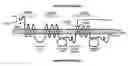 Fig. 01 - Anti-MRP3 antibodies and methods of use
