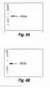 Fig. 05 - Anti-MRP3 antibodies and methods of use
