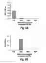 Fig. 06 - Anti-MRP3 antibodies and methods of use