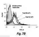 Fig. 10 - Anti-MRP3 antibodies and methods of use