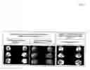 Fig. 04 - Therapeutic use of diaminophenothiazines