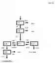 Fig. 23 - Therapeutic use of diaminophenothiazines