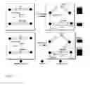 Fig. 02 - Methods and compositions for detections and modulating O-glycosylation