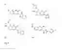 Fig. 10 - Methods and compositions for detections and modulating O-glycosylation
