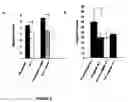 Fig. 04 - COMPOSITIONS AFFECTING HYALURONIC ACID MEDIATED ACTIVITY