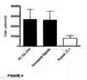 Fig. 05 - COMPOSITIONS AFFECTING HYALURONIC ACID MEDIATED ACTIVITY